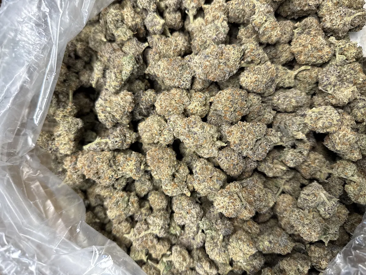 Oreoz Flower